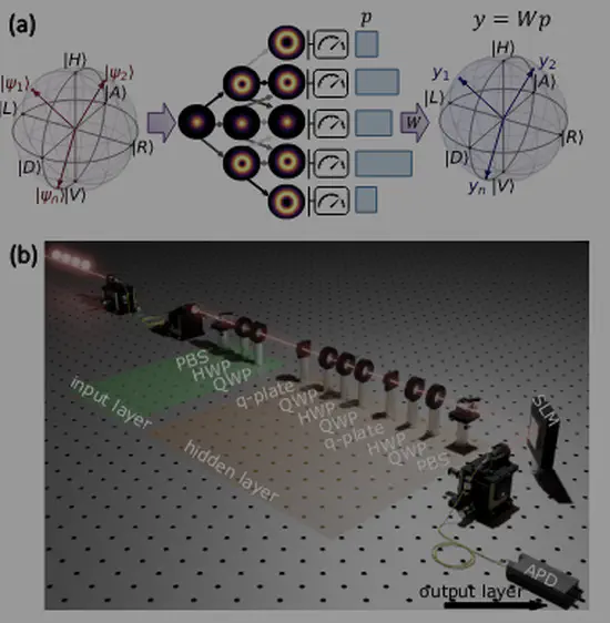 Experimental property-reconstruction in a photonic quantum extreme learning machine