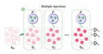 On the Potential and Limitations of Quantum Extreme Learning Machines